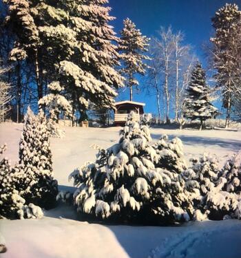 Foto - EFH in einem OT von Presseck(Frankenwald)