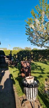 Foto - Grundst&uuml;ck in Berlin