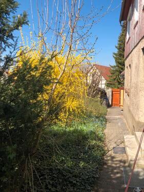 Foto - 6 Zimmer Bauernhaus, Landhaus zum Kaufen in Erfurt