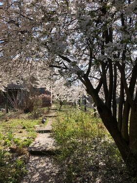 Foto - 6 Zimmer Bauernhaus, Landhaus in Erfurt
