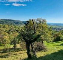 zu verpachten Obstbaumwiese am Schönbuchrand von Entringen - Ammerbuch