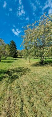 Foto - Grundst&uuml;ck in Ammerbuch