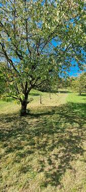 Foto - Grundst&uuml;ck in Ammerbuch zur Miete