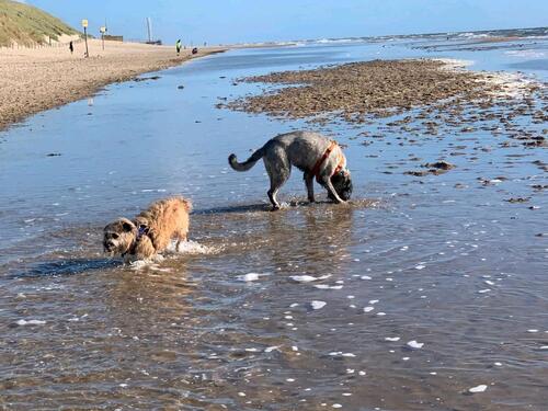 Foto - andere in Lippetal