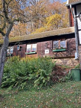 Foto - Wohnung Apartment - 330,00 EUR Kaltmiete,