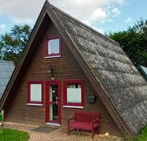 Ferienhaus 103 im Ferienpark Twistesee - Bad Arolsen