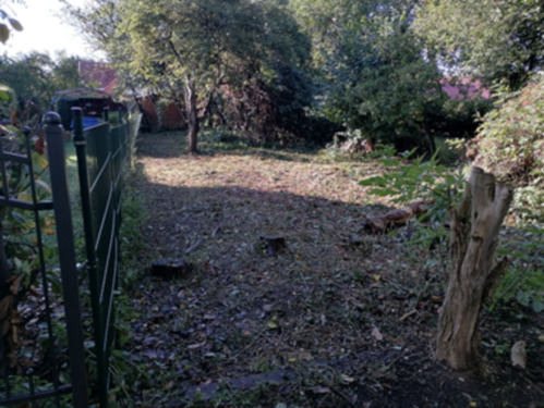 Foto - Ausschreibung Garten - 380,00&nbsp;EUR Kaltmiete, ca.&nbsp; 0,00&nbsp;m&sup2;