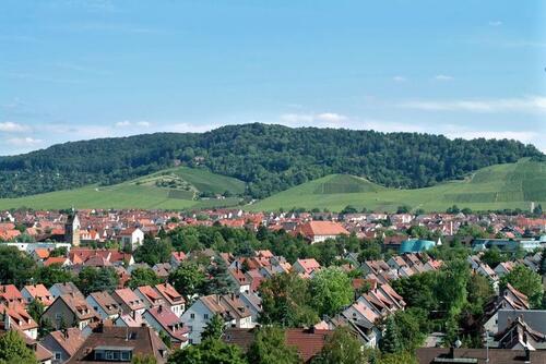 Foto - 2 Zimmer Terrassenwohnung zur Miete in Fellbach