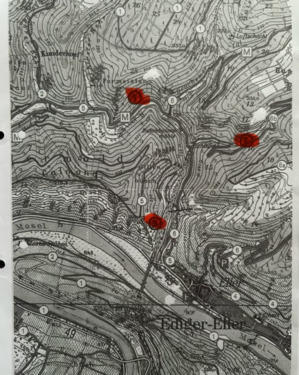 Foto - Wald, Hutung Grundstück Parzelle Ediger - Eller