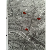 Wald, Hutung Grundstück Parzelle Ediger - Eller - Bullay