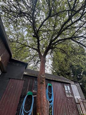 Foto - Grundst&uuml;ck zur Miete in Bobritzsch-Hilbersdorf