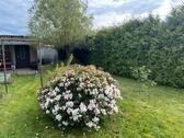 Foto - Schöner 500m² Kleingarten in Zwenkau abzugeben – direkt startklar