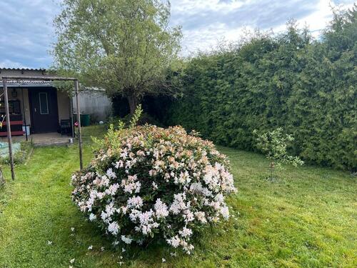 Foto - Schöner 500m² Kleingarten in Zwenkau abzugeben – direkt startklar