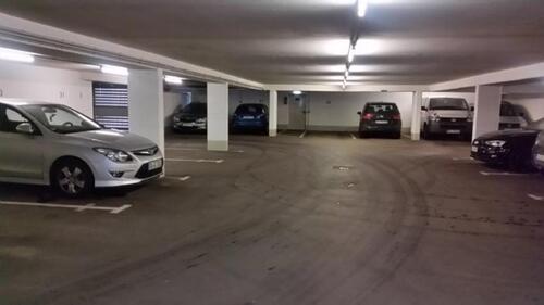 Foto - andere in Dresden