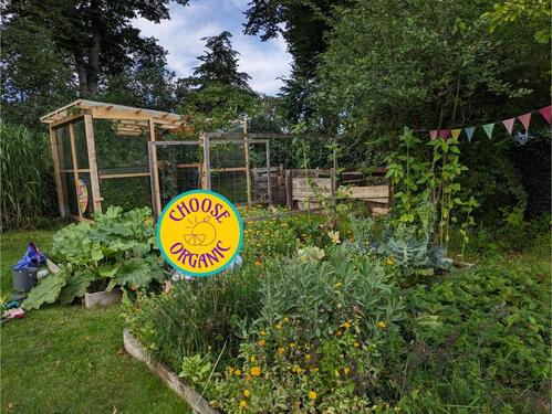 Foto - Grundst&uuml;ck zur Miete in Lüneburg