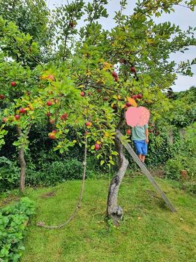 Foto - Grundst&uuml;ck in Lüneburg
