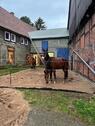 Foto - Traumhafter Hof mit Pferdehaltung – Ihr idyllisches Zuhause