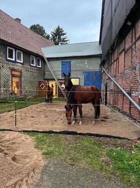 Foto - Traumhafter Hof mit Pferdehaltung – Ihr idyllisches Zuhause