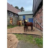 Traumhafter Hof mit Pferdehaltung – Ihr idyllisches Zuhause - Bockenem