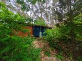 Foto - Wald-Wochenendgrundstück+Bungalow Dübener Heide - 5 Min. zum See