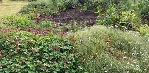 Foto - Grundstück zur Miete in Halle (Saale)