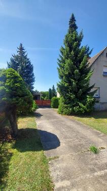 Foto - 5 Zimmer Einfamilienhaus zum Kaufen in Zahna-Elster