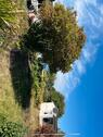 Foto - Doppel Garten - ca.  0,00 m²