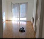 Foto - Schöne 2 Raumwohnung - 399,00 EUR Kaltmiete,