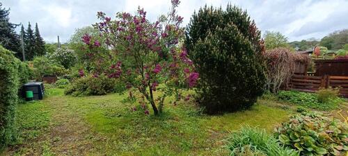 Foto - Grundst&uuml;ck zur Miete in Pirna