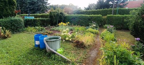 Foto - Grundst&uuml;ck in Pirna zur Miete