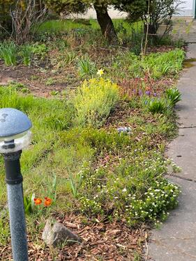 Foto - Grundst&uuml;ck zur Miete in Markranstädt