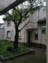 Foto - Mehrfamilienhaus, Wohnhaus in Kelsterbach zum Kaufen