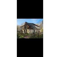 Ohne Makler! Großes 1 oder 2 FMH auf Traumgrundstück in Hellwege - Sottrum