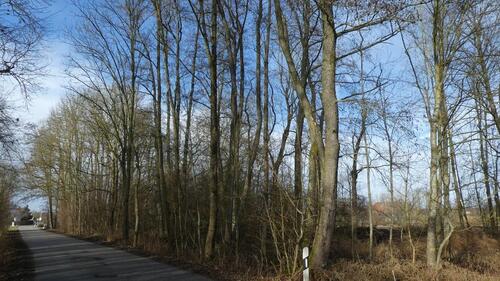 Foto - Grundstück in Mötzing