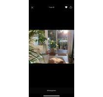 Traumwohnung mit Garten und Pool im Mädchenviertel - Essen Stadtbezirk II