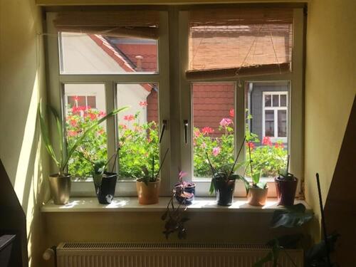 Foto - 7 Zimmer Einfamilienhaus in Wurzen