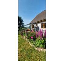 Wohnen mit Pferd - 680,00&nbsp;EUR Kaltmiete, ca.&nbsp; 55,00&nbsp;m&sup2; in Neuenkirchen (PLZ: 17498)