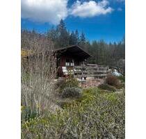 Kleingarten im KGV Frohe Zukunft e.V. Freital