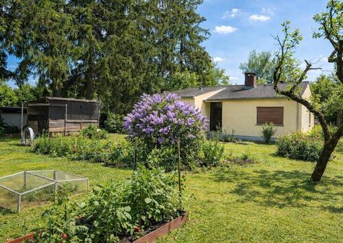 Foto - 4 Zimmer Bungalow zum Kaufen in Berlin