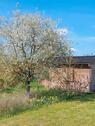 Foto - Grundst&uuml;ck zur Miete in Weißensee