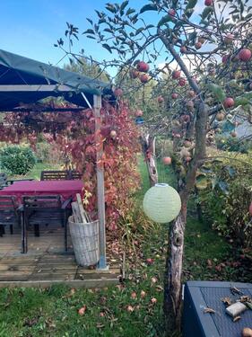 Foto - Grundst&uuml;ck in Chemnitz