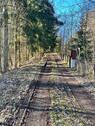 Foto - Idyllisches Waldhäuschen in Hardegsen Massivhaus
