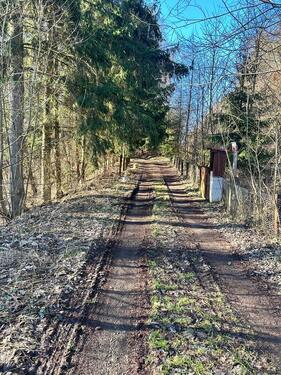 Foto - Idyllisches Waldhäuschen in Hardegsen Massivhaus