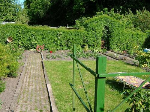 Foto - Grundst&uuml;ck zur Miete in Seelow