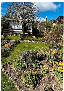 Foto - Grundst&uuml;ck zur Miete in Bad Doberan