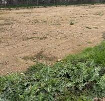 Aussiedlerhof Freifläche zu vermieten 1.000m² bis 3.000m² - Neustadt an der Weinstraße