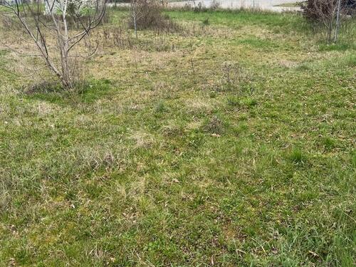 Foto - Grundst&uuml;ck in Neustadt an der Weinstraße zur Miete