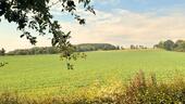 Foto - Familienhaus in traumhafter Feldrandlage 