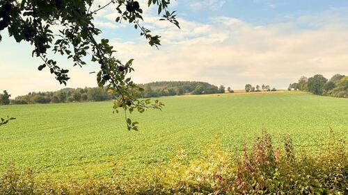 Foto - Familienhaus in traumhafter Feldrandlage 