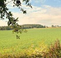 Familienhaus in traumhafter Feldrandlage | Bioenergie - Dransfeld